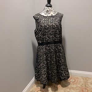 New with tags black and nude laser cut kneelength dress!